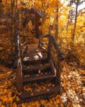 fall-pictures2-6.jpg